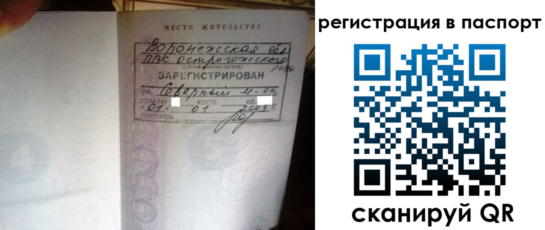 прописка для школы в Жукове